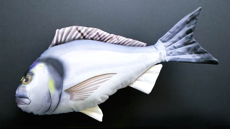 Dekoračný podhlavník - Pražma kráľovská 60cm