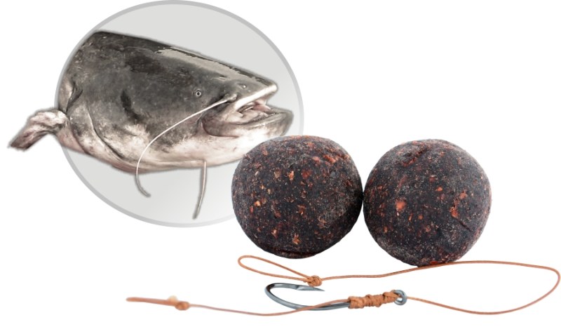 Boilies Fanatic Catfish + nadväzec 100kg