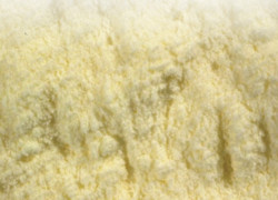 Whey powder 5 kg