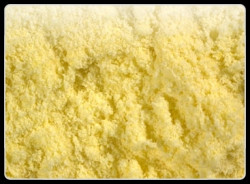Maize Flour 1 kg
