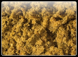 Fish Mix 1 kg