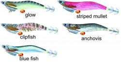 Atoll Squid Lure 11cm, bass, glow