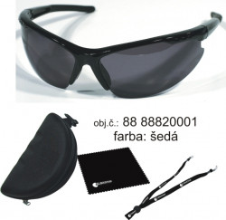 Polariza�n�  okuliare +ZDARMA  p�zdro, �n�rka, handri�ka