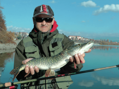 Ak prvlaov navijak vybra