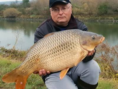 Lov�te na feeder? T�chto 6 tipov v�m pom��e zn�sobi� va�e �lovky