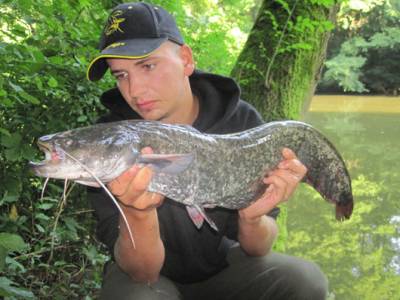 Lov sumca na men��ch riekach a kan�loch