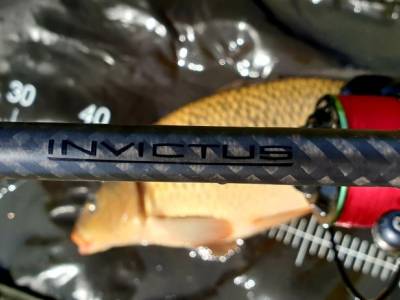 Invictus Carp - klenot od Sportex-u na lov kapra