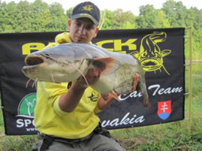 Sumce z plytkej vody