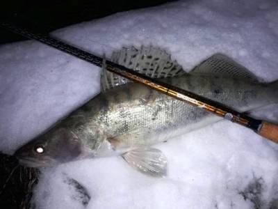 Mi�o Kordi�: Sportex Beyond Spin