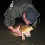 Za 7 dní 26 dunajských kaprov Za 7 dní 26 dunajských kaprov