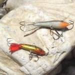 Letná prívlač na veľkých riekach Letná prívlač na veľkých riekach