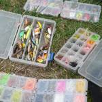 Mikrofanatici Mikrofanatici