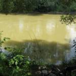 S feedrom pri Toryse S feedrom pri Toryse