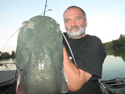 Lov sumca na rybn�ku