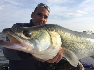 Pr�vla�ov� n�strahy: Plast �i guma?