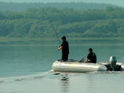 Modern� kapr�rina