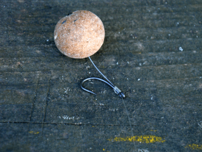 Ak� nadv�zec vybra� na kapra?