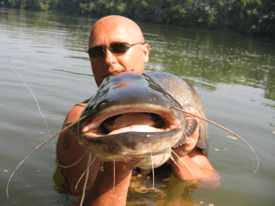 Lov sumcov na �a�ko