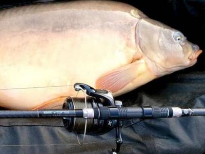 Testujeme: Neprekonate�n� Beyondy od Sportex-u