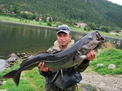 Ak nstrahy na morsk rybolov do Norska ?