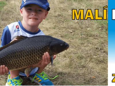 Mal rybri - tipy, m ich potete pod stromekom