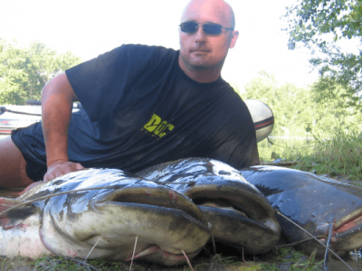 Sp�soby lovu sumcov