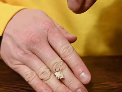 Chlebov� k�rka - jednoduch� a ��inn� n�straha