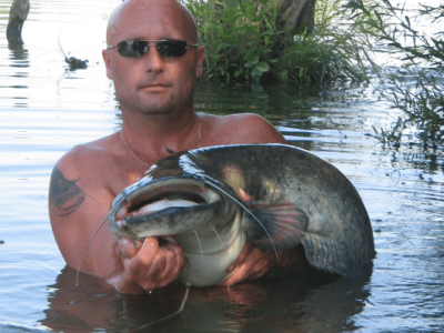 Ako nastra�i� rybku na sumca