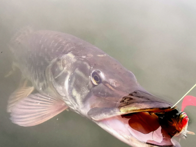 5 tipov pre pr�vla� v jeseni