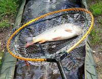 Ako si vybrať podložky pod ryby Ako si vybrať podložky pod ryby