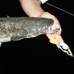 Ako na sumce v septembri Ako na sumce v septembri