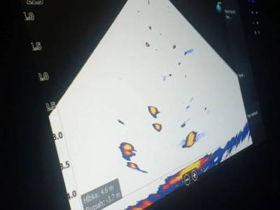 Recenzia: Sonary HDS Live pri love sumca