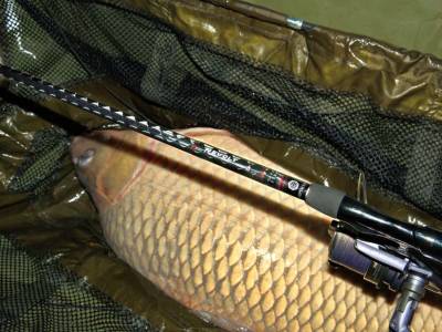Testujeme: kapr�rske udice Sportex Revolt Carp