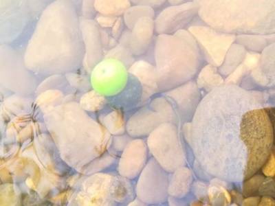 Ako vylep��te kapr�rske nadv�zce na boilies