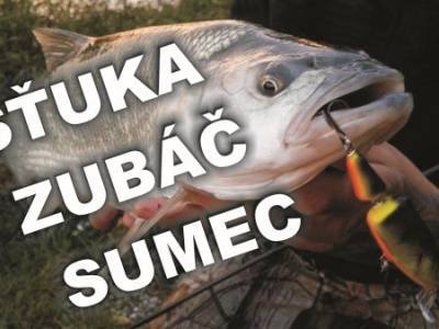 To najlepie na prvla...