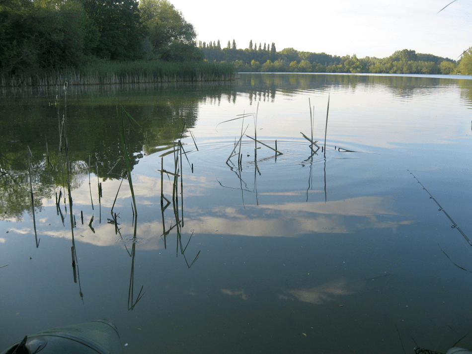 Klasický rybník