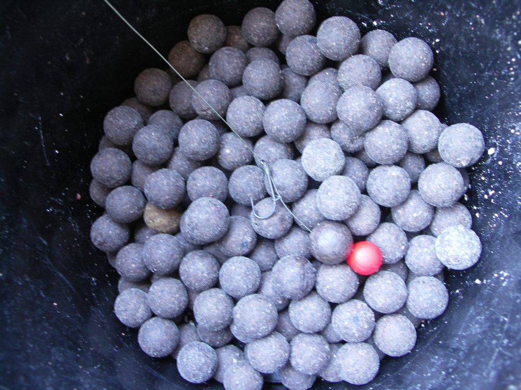 boilies