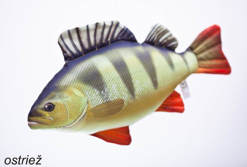 Dekoračný podhlavník - Ostriež