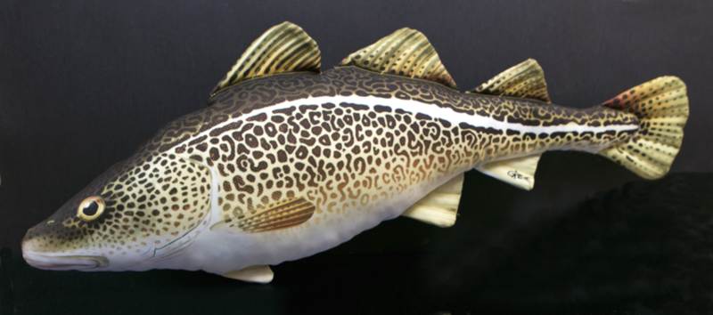 Dekoračný podhlavník - TRESKA 75cm