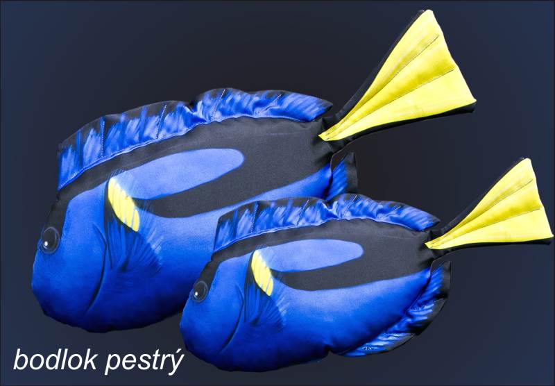 Dekoračný podhlavník - Bodlok pestrý