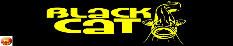 Nálepka Black Cat 42x10cm
