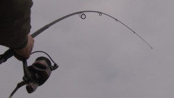 SPORTS CARP set TELESKOP 3-9m/3-0 + baitrunner + silon