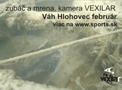 Vexilar Podvodn kamera Fish Fone WIFI FP100