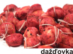 Rohlikov boilies kapr sen 30 g / 12mm