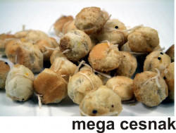 Rohlikov boilies kapr sen 30 g / 12mm