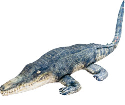 Dekoran podhlavnk - Krokodl 120cm