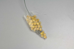 PVA s��iky Bullet Bags easy melt