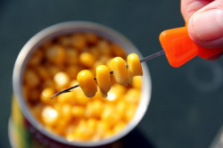 Kaprrska ihla Fine Boilie Needle