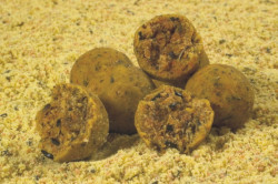Boilies Tandem Baits zmes Extreme Bird Food Mix