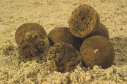 Boilies Tandem Baits zmes Energy&Marine Mix